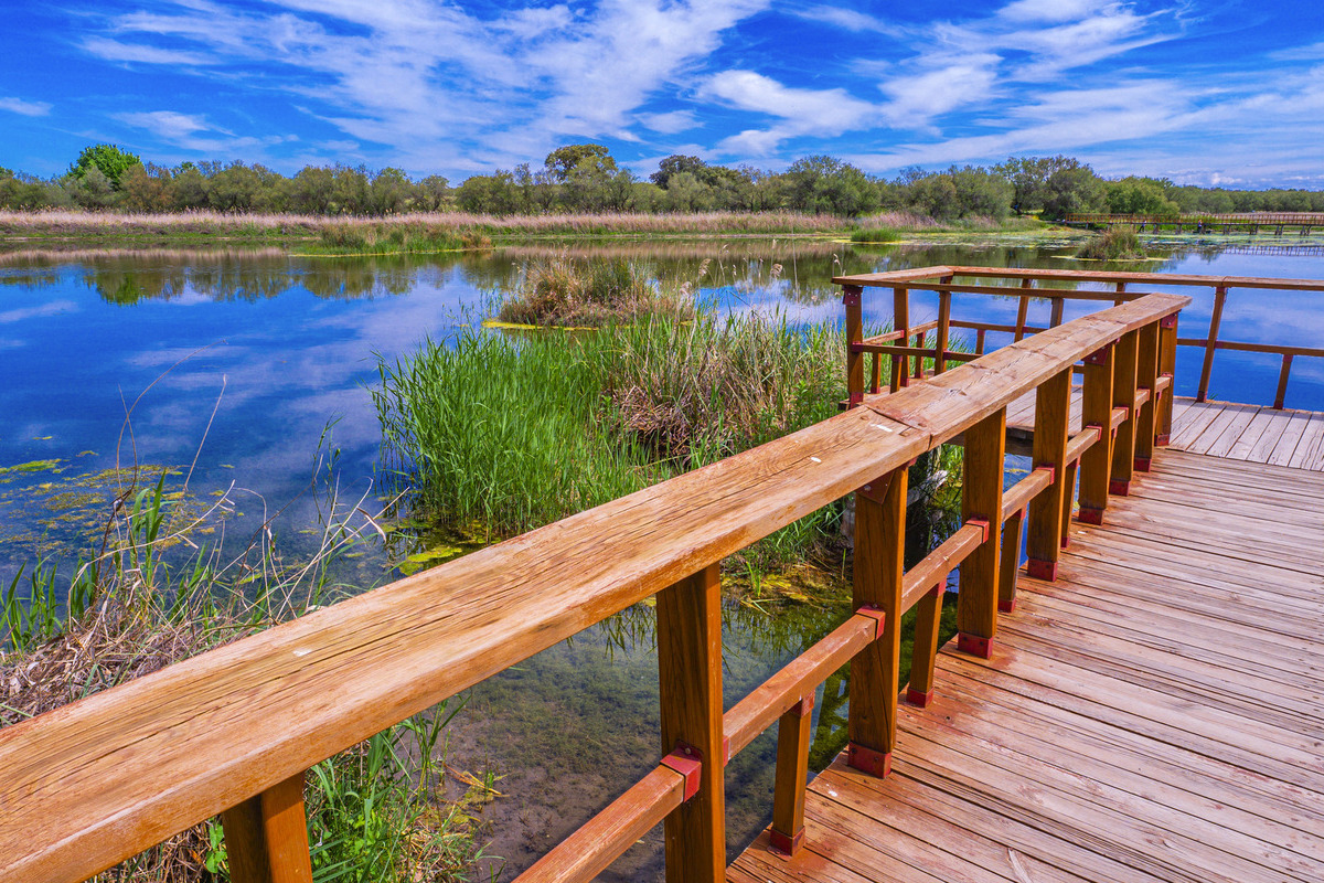 Tablas de Daimiel. Ciudad Real. Foto por Depositphotos.