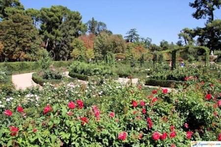 jardin botanico de madrid