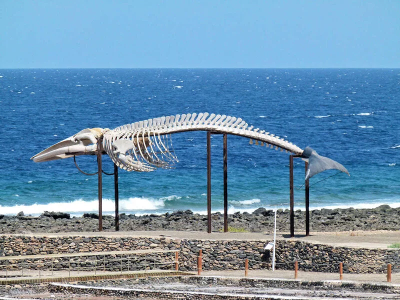 ▷ LOS 10 PUEBLOS MÁS BONITOS DE FUERTEVENTURA + MAPA PUEBLOS DE FUERTEVENTURA- Las Salinas del Carmen