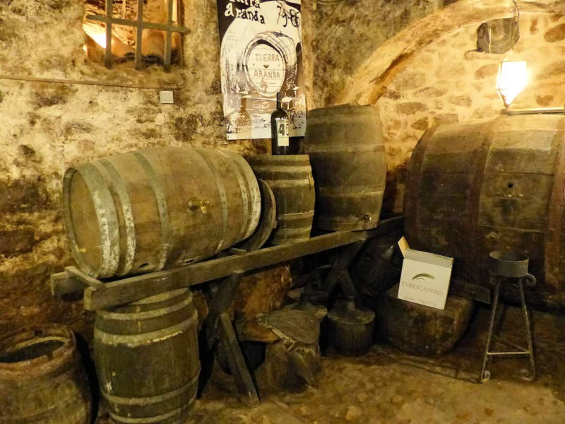 ▷ ARANDA DE DUERO » Descubre Qué ver y hacer Bodegas de Aranda de Duero