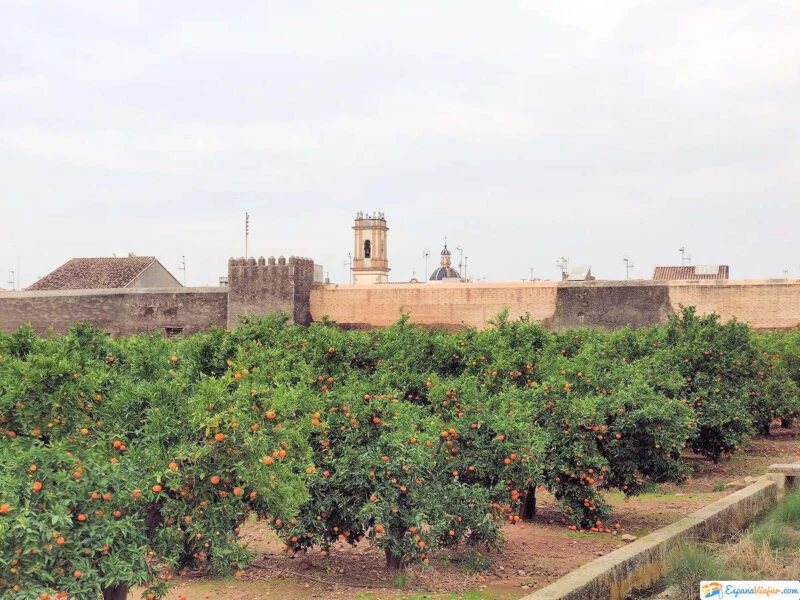 ▷ MASCARELL » Qué ver y hacer en este pueblo amurallado Naranjos de Mascarell