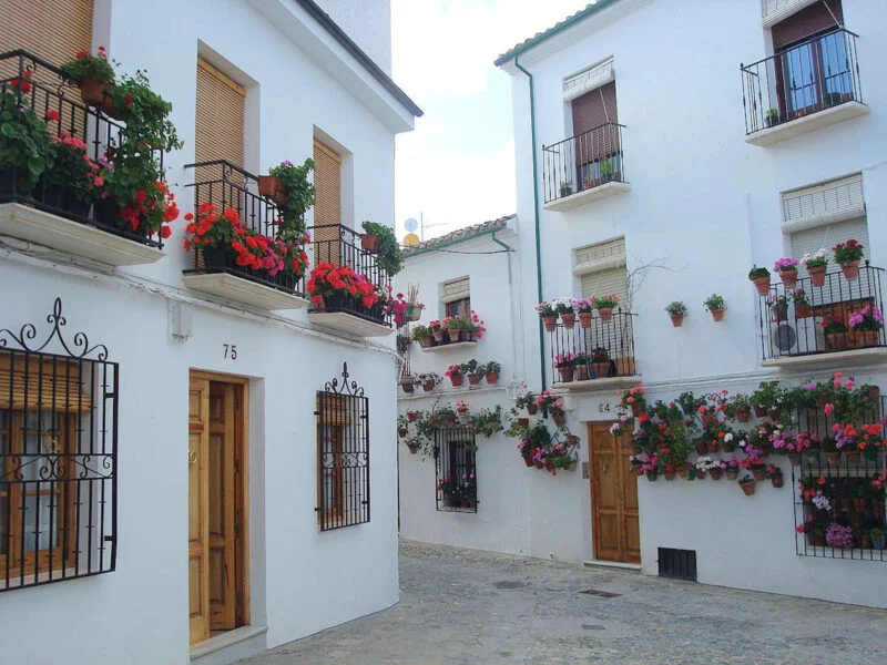 ▷ PRIEGO DE CÓRDOBA » Descubre qué ver y qué hacer. Patios decorados con flores en Priego de Córdoba