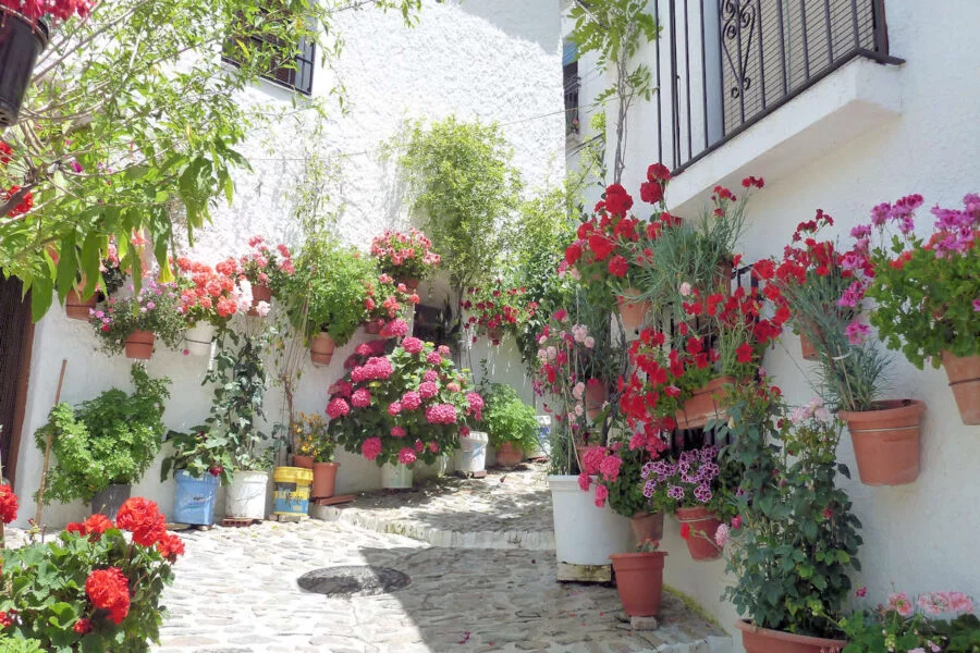 ▷ PAMPANEIRA » Qué ver y hacer en la comarca alpujarreña Calles de Pampaneira