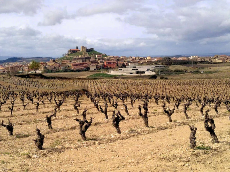▷ SAN VICENTE DE LA SONSIERRA » Qué ver y hacer Bodega Contador en San Vicente de la Sonsierra