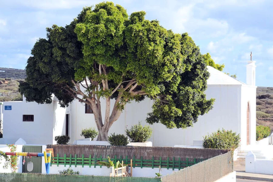 ▷ ARRIETA » Qué ver y hacer en este espectacular pueblo Iglesia Nuestra Señora del Carmen en Arrieta