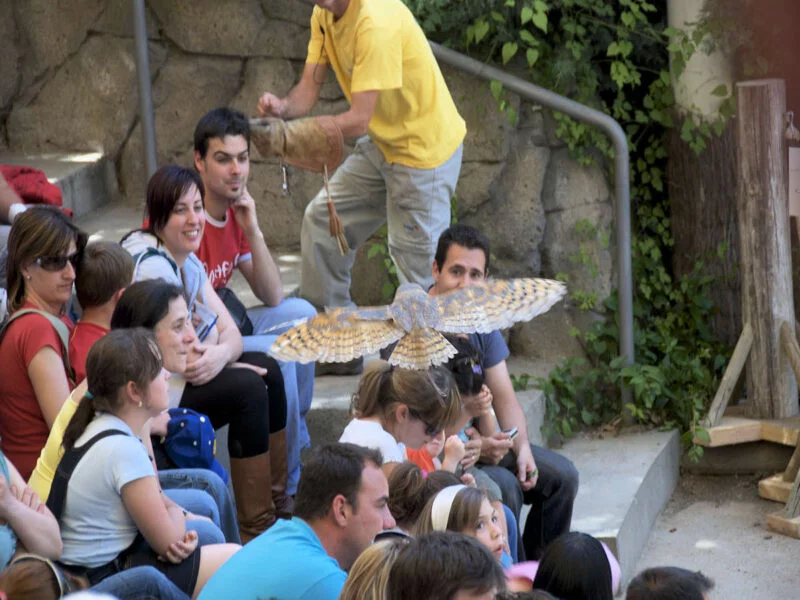 ▷ FAUNIA MADRID » Descubre qué ver y hacer en tu visita Faunia Madrid