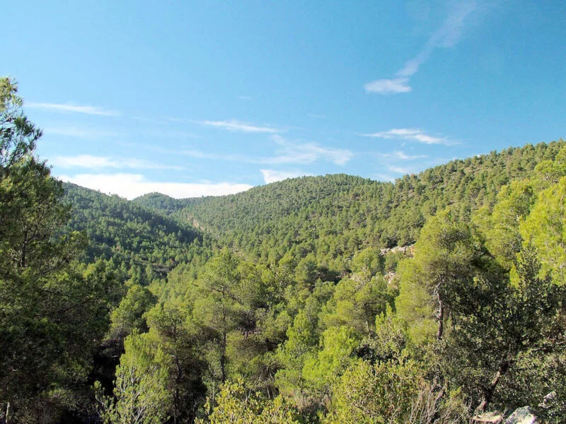 ▷ CEHEGÍN » Qué ver y visitar en este pintoresco rincón Sierra de Burete