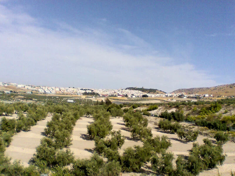 ▷ ESTEPA » Qué ver y hacer en este hermoso pueblo andaluz Campos de Estepa