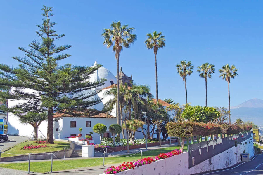 ▷ EL SAUZAL » Qué ver y hacer. Villa al norte de Tenerife Visita El Sauzal en Tenerife