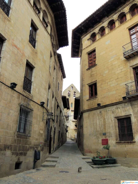 ▷ SOS DEL REY CATÓLICO » Descubre qué ver y hacer Callejones de Sos del Rey Católico