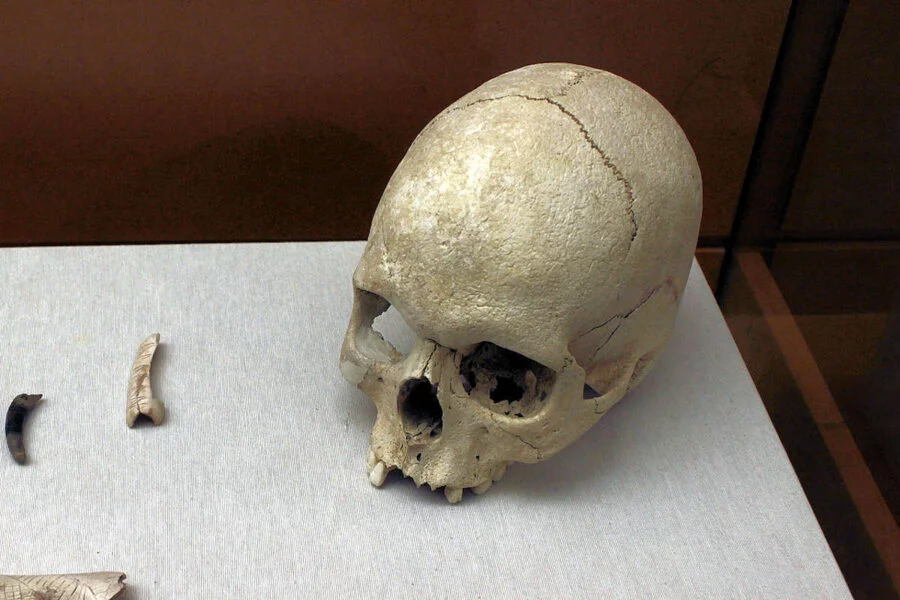 ▷ BOCAIRENT » Qué ver y hacer. Poblado excavado en la roca Cráneo humano localizado en estratos paleolíticos de la Cueva de la Sarsa