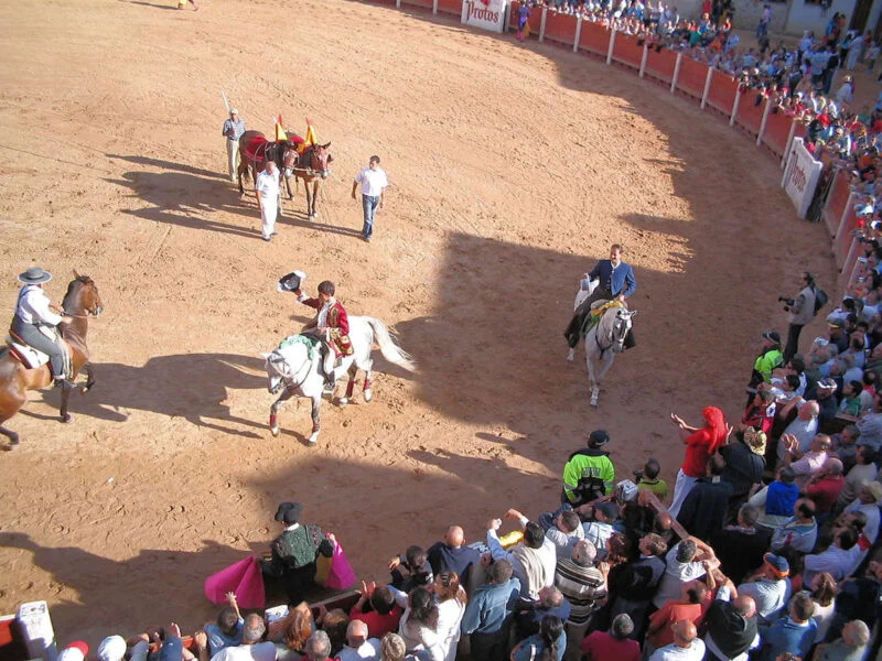 ▷ PEÑAFIEL » Qué ver y hacer. Pueblo vinícola y medieval Festividades en Peñafiel