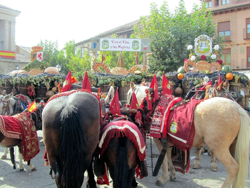 ▷ TORO » Qué ver y hacer. Una joya monumental. Fiestas de la Vendimia