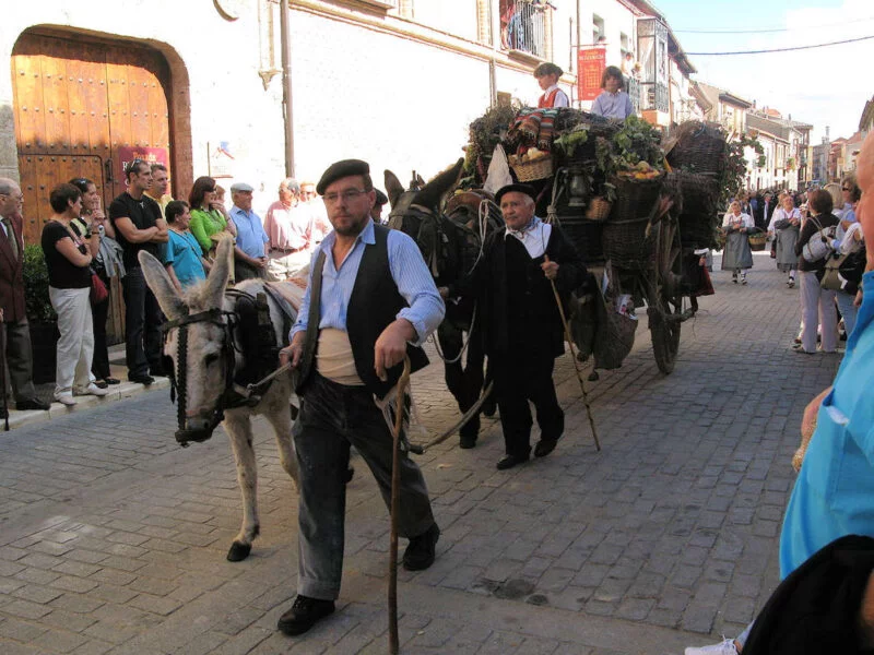 ▷ TORO » Qué ver y hacer. Una joya monumental. Fiestas de la Vendimia en Toro