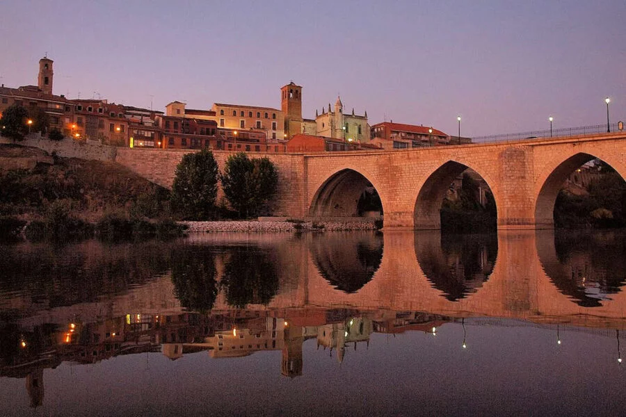 ▷ TORDESILLAS » Qué ver y hacer. Conoce su historia. Visita Tordesillas