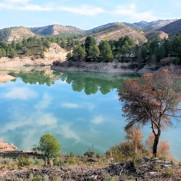 ▷ HELLÍN » Qué ver y hacer. Rincón de almendros y viñedos Embalse del Camarillas