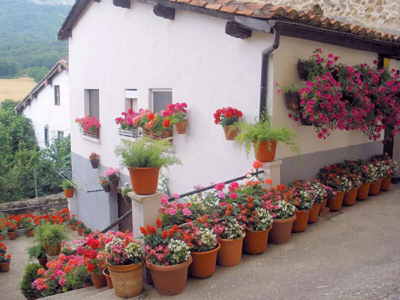 ▷ ANTOÑANA » Qué ver y hacer. Pueblo medieval amurallado. Visita Antoñana pueblo de Álava