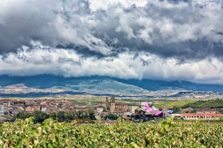 ▷ ELCIEGO » Qué ver y hacer en esta villa rodeada de viñedos Visita Elciego