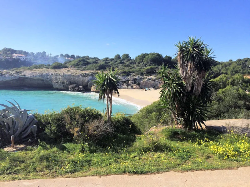 ▷ PORTO CRISTO » Qué ver y hacer. Fascinante villa marinera Visita Manacor-Porto Cristo