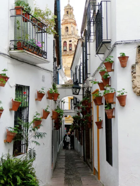 ▷ 22 Mejores Lugares QUE VER EN CÓRDOBA Callejas de las Flores