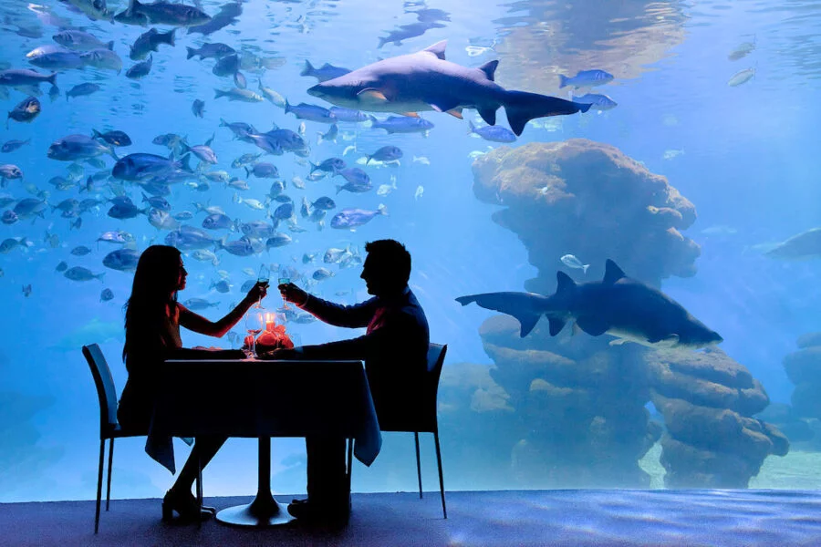 ▷ 12 Mejores Lugares QUE VER EN PALMA DE MALLORCA Palma Aquarium