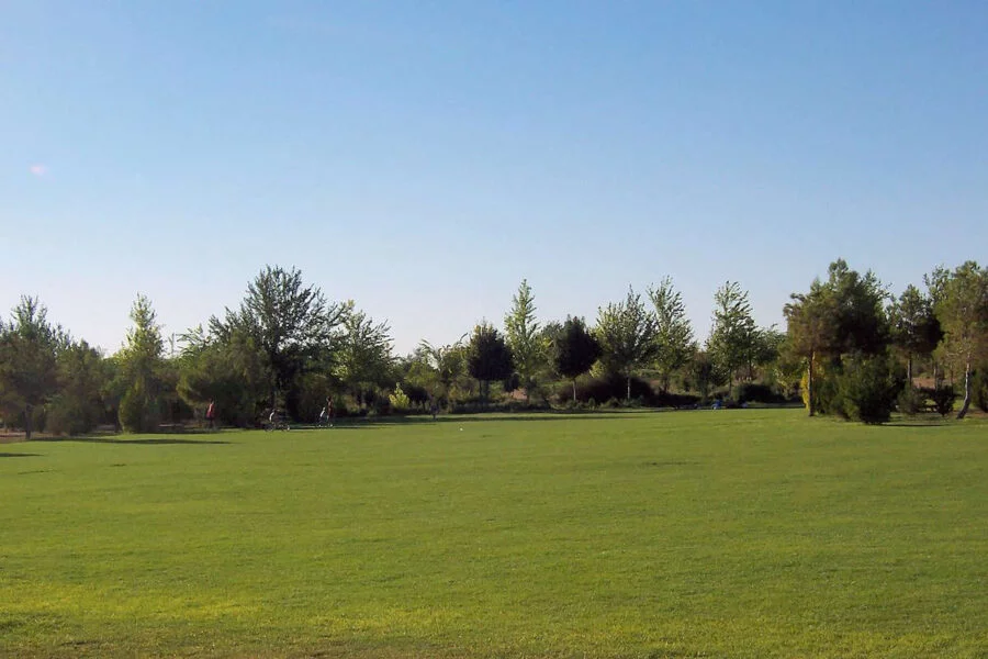 ▷ 13 Mejores Lugares QUE VER EN ALBACETE Parque de la Pulgosa