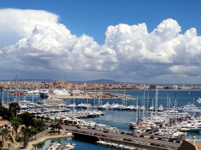▷ 12 Mejores Lugares QUE VER EN PALMA DE MALLORCA Paseo Marítimo de Palma de Mallorca
