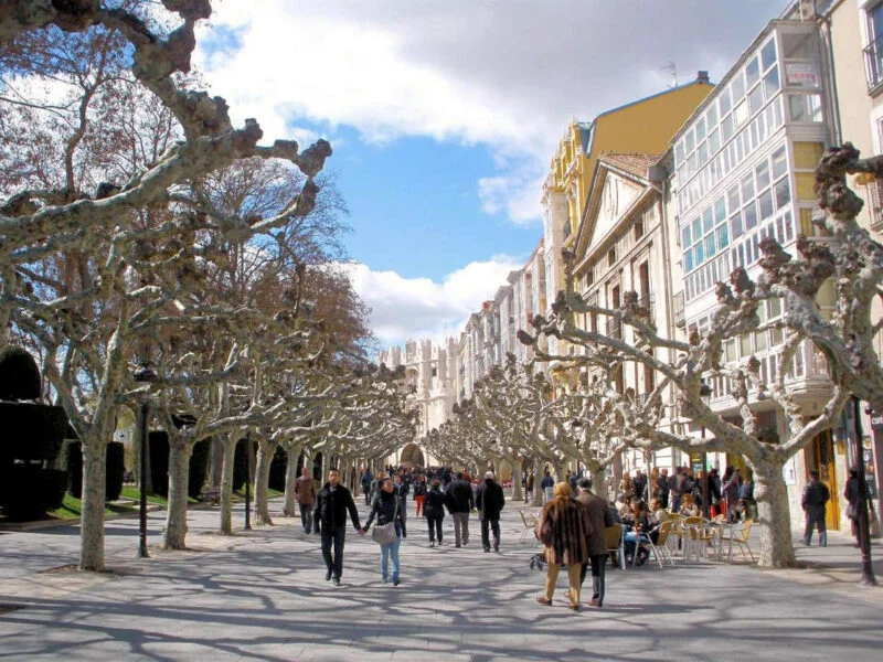 ▷ 13 Mejores Lugares QUE VER EN BURGOS Paseo el Espolón de Burgos