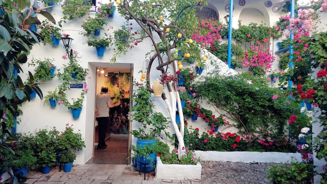 ▷ 22 Mejores Lugares QUE VER EN CÓRDOBA Patios Cordobeses
