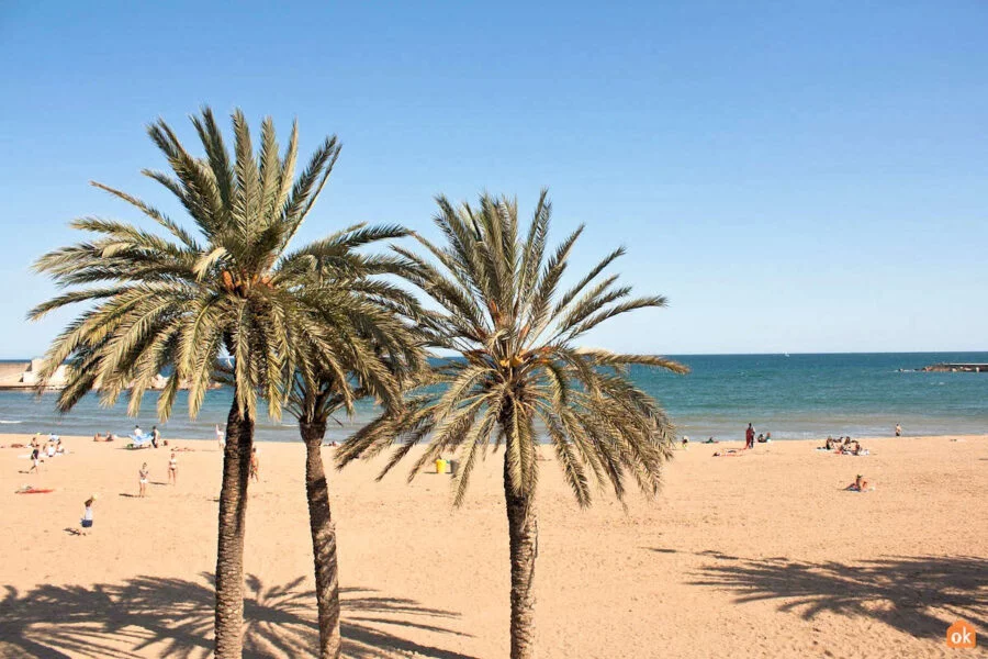 ▷ LAS 10 MEJORES PLAYAS DE BARCELONA + MAPA Playa Somorrostro
