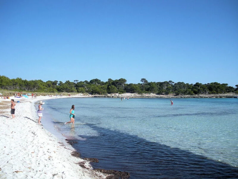 ▷ LAS 17 MEJORES PLAYAS DE MENORCA + MAPA Playa Son Saura