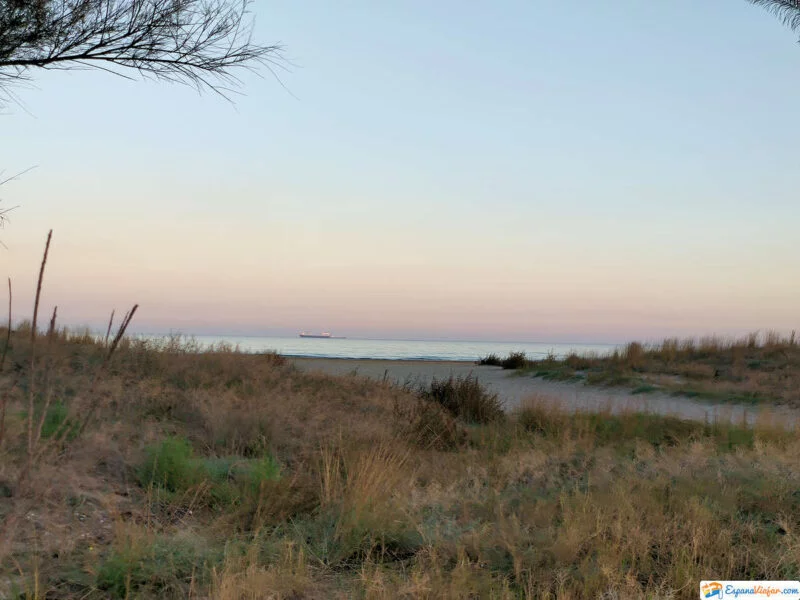 ▷ LAS 20 MEJORES PLAYAS DE CASTELLÓN + MAPA Playa del Pinar