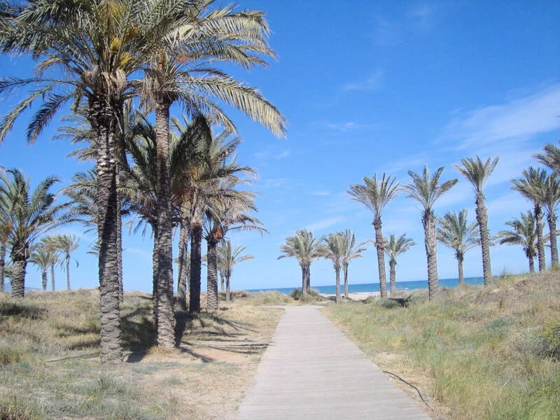 ▷ 18 Lugares QUE VER EN CASTELLÓN DE LA PLANA Playa del Pinar en Castellón