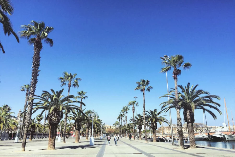 ▷ BARCELONA » Qué ver y hacer. 24 lugares imprescindibles Playas de Barcelona