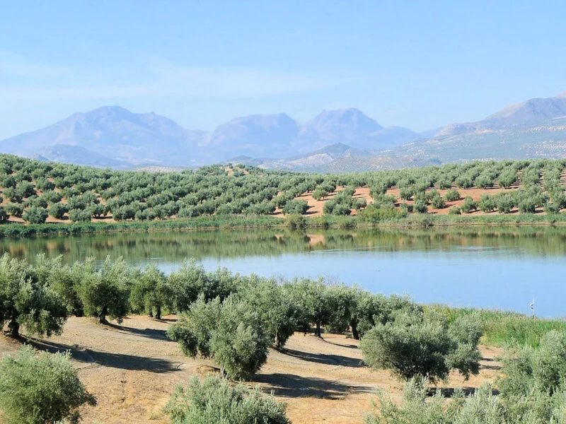 ▷ 13 Mejores Lugares QUE VER EN JAÉN Recorrido de la Vía Verde del Aceite