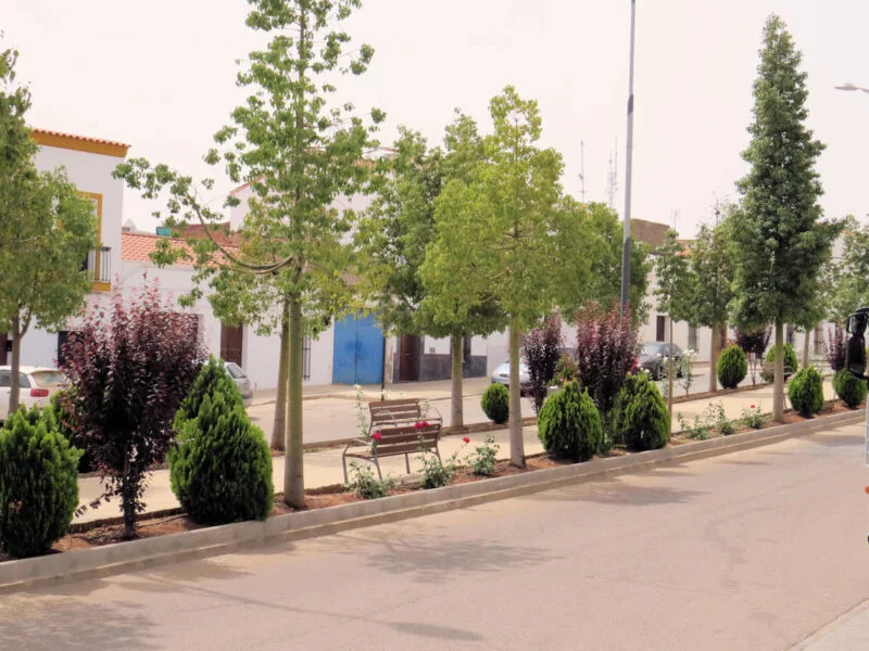 ▷ FUENTE DEL MAESTRE » Qué ver y hacer en este destino Visita Fuente del Maestre