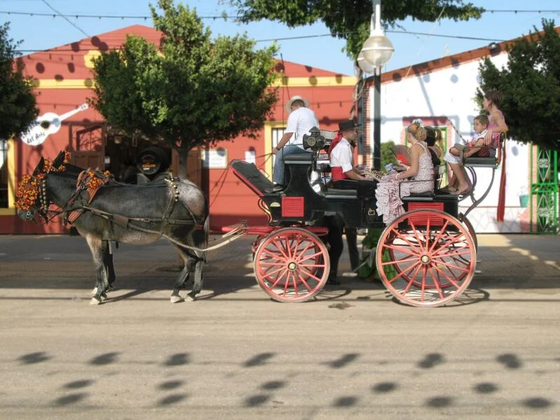 ▷ 17 Mejores Lugares QUE VER EN MÁLAGA Calesa típica en la feria de Málaga