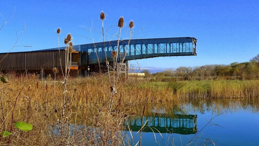 ▷ 25 Mejores Lugares QUE VER EN VITORIA Parque de Salburua Vitoria
