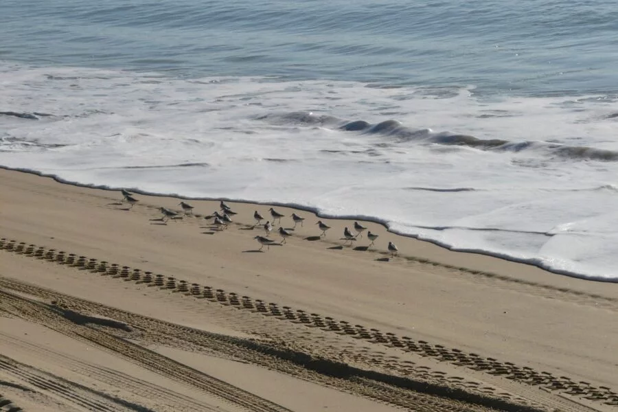 ▷ LAS 12 MEJORES PLAYAS DE HUELVA + MAPA Playa Torre del Loro Huelva