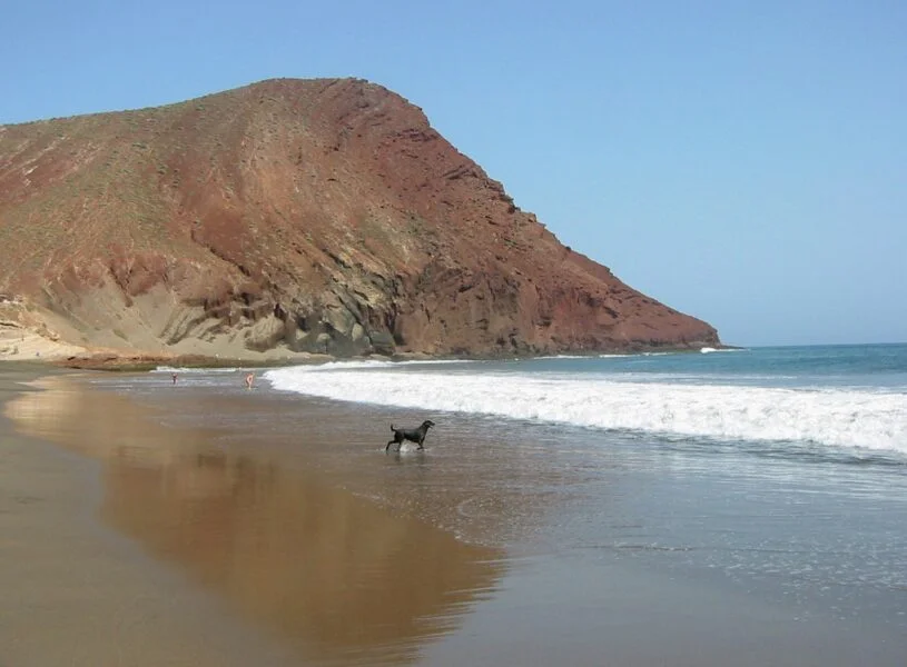 ▷ LAS 13 MEJORES PLAYAS DE TENERIFE + MAPA Playa de la Tejita. Tenerife