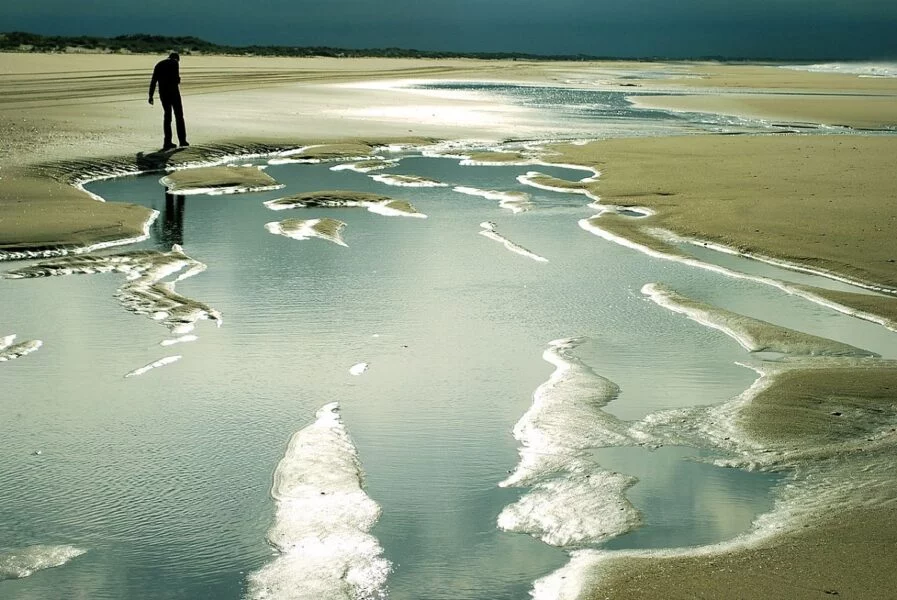 ▷ LAS 12 MEJORES PLAYAS DE HUELVA + MAPA Playa de Doñana Huelva