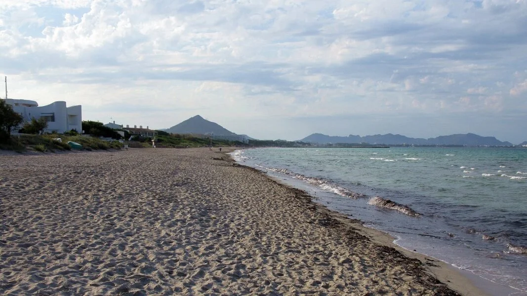 ▷ LAS 23 MEJORES PLAYAS DE MALLORCA + MAPA Playa del Muro. Alcudia.Mallorca