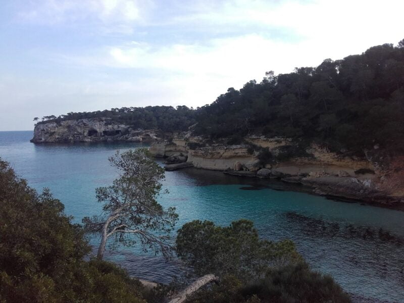 Playa Portals Vells. Mallorca