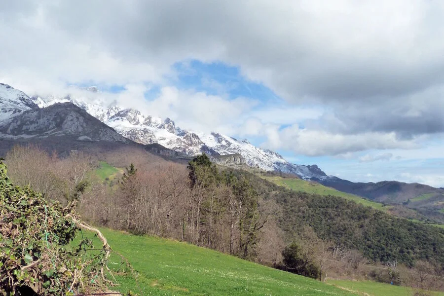 ▷ MOGROVEJO » Qué ver y hacer. Una aldea montañesa. Visita Mogrovejo en Cantabria