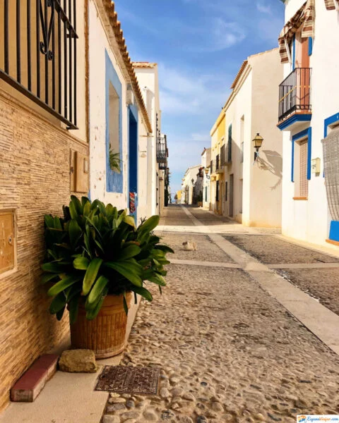▷ TABARCA » Qué ver y hacer en la isla alicantina + MAPA casitas en tabarca