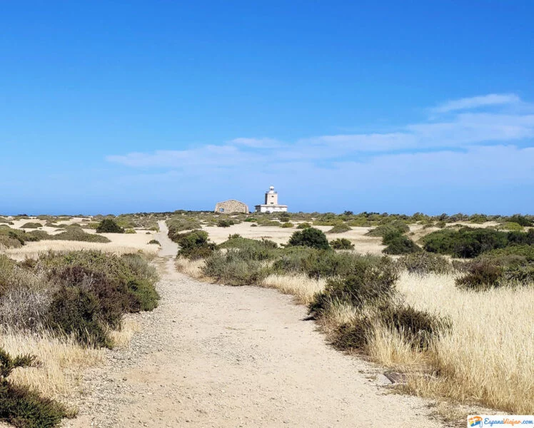 ▷ TABARCA » Qué ver y hacer en la isla alicantina + MAPA faro de tabarca