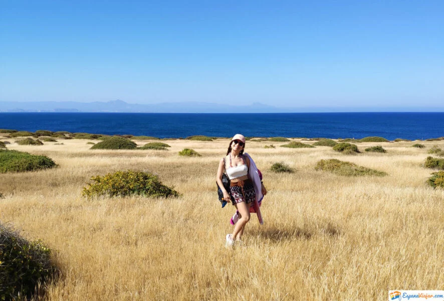 ▷ TABARCA » Qué ver y hacer en la isla alicantina + MAPA zona deshabitada de tabarca