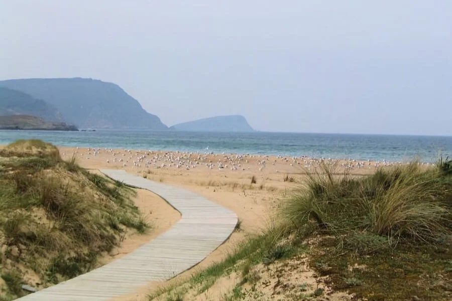 ▷ LAS 13 MEJORES PLAYAS DE LUGO + MAPA Playa San Román