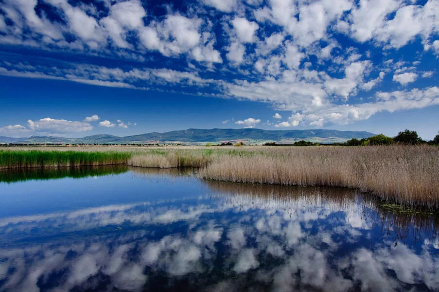 ▷ DAIMIEL » Disfruta de su encanto, qué ver y hacer. Daimiel en Ciudad Real