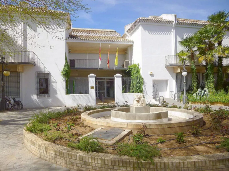 ▷ TOMELLOSO » Qué ver y hacer. Escenario de viñedos. Museo Antonio López Torres